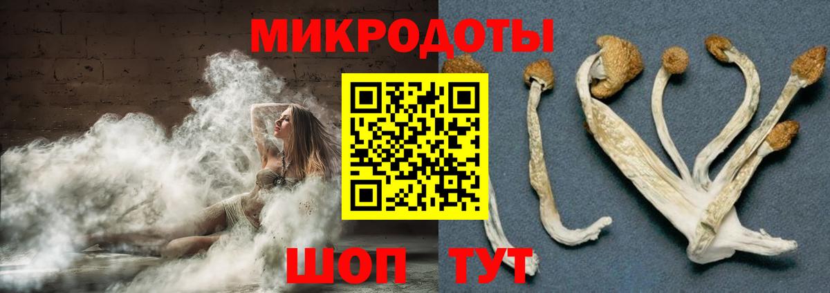 Галлюциногенные грибы прущие грибы  Вход с VPN  Печора 