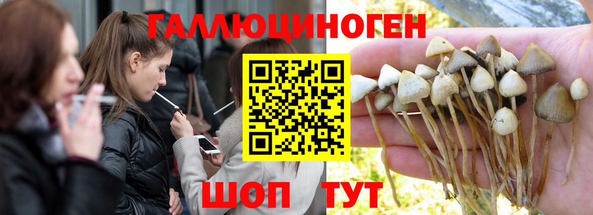 Галлюциногенные грибы прущие грибы Печора