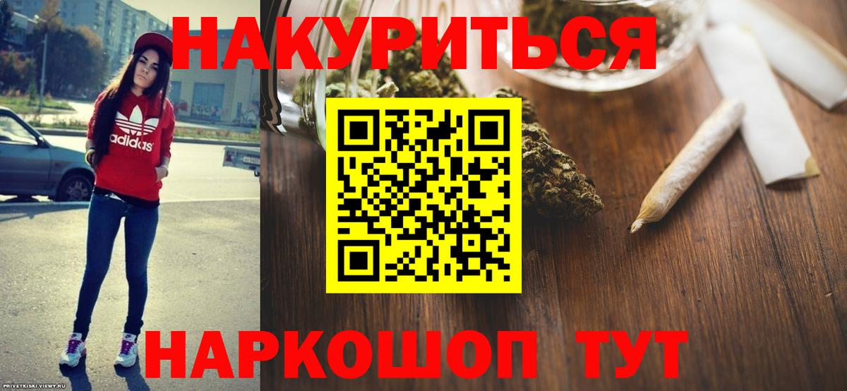 Конопля сатива Печора